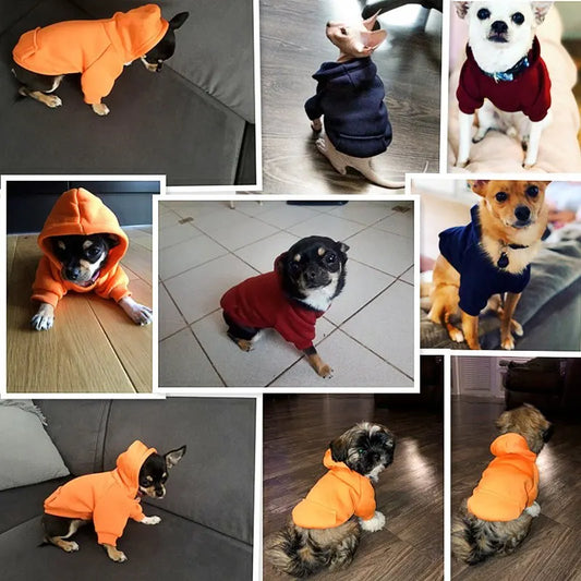 Cozy Cotton Dog Hoodie