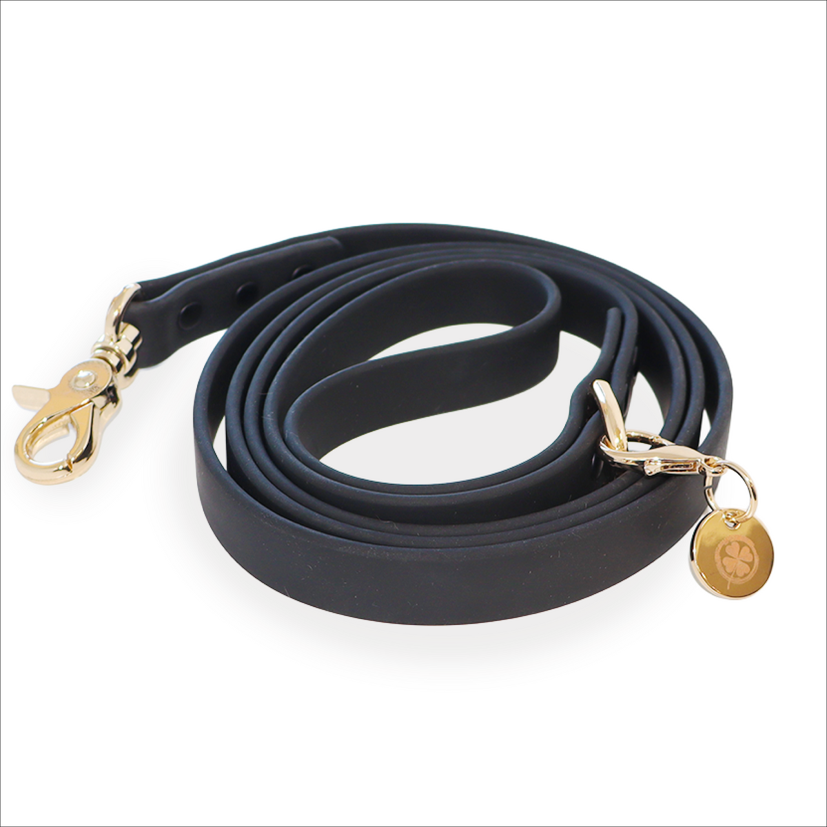 Waterproof Leash — Black