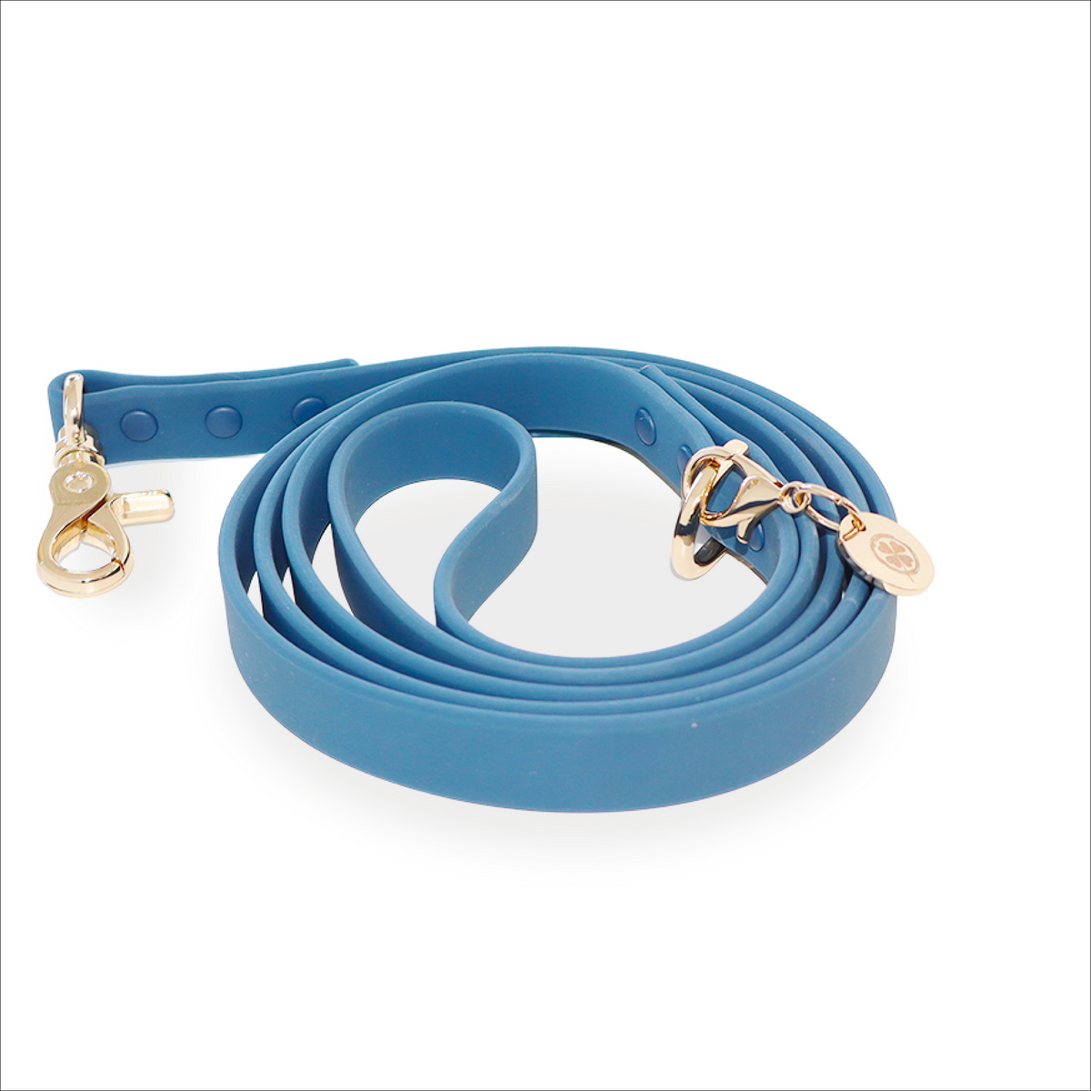 Waterproof Leash — Navy