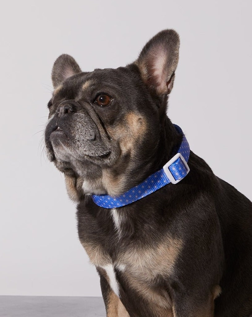 Asanoha Collar & Bow Tie
