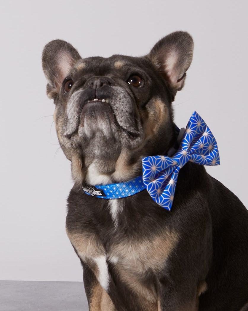 Asanoha Collar & Bow Tie