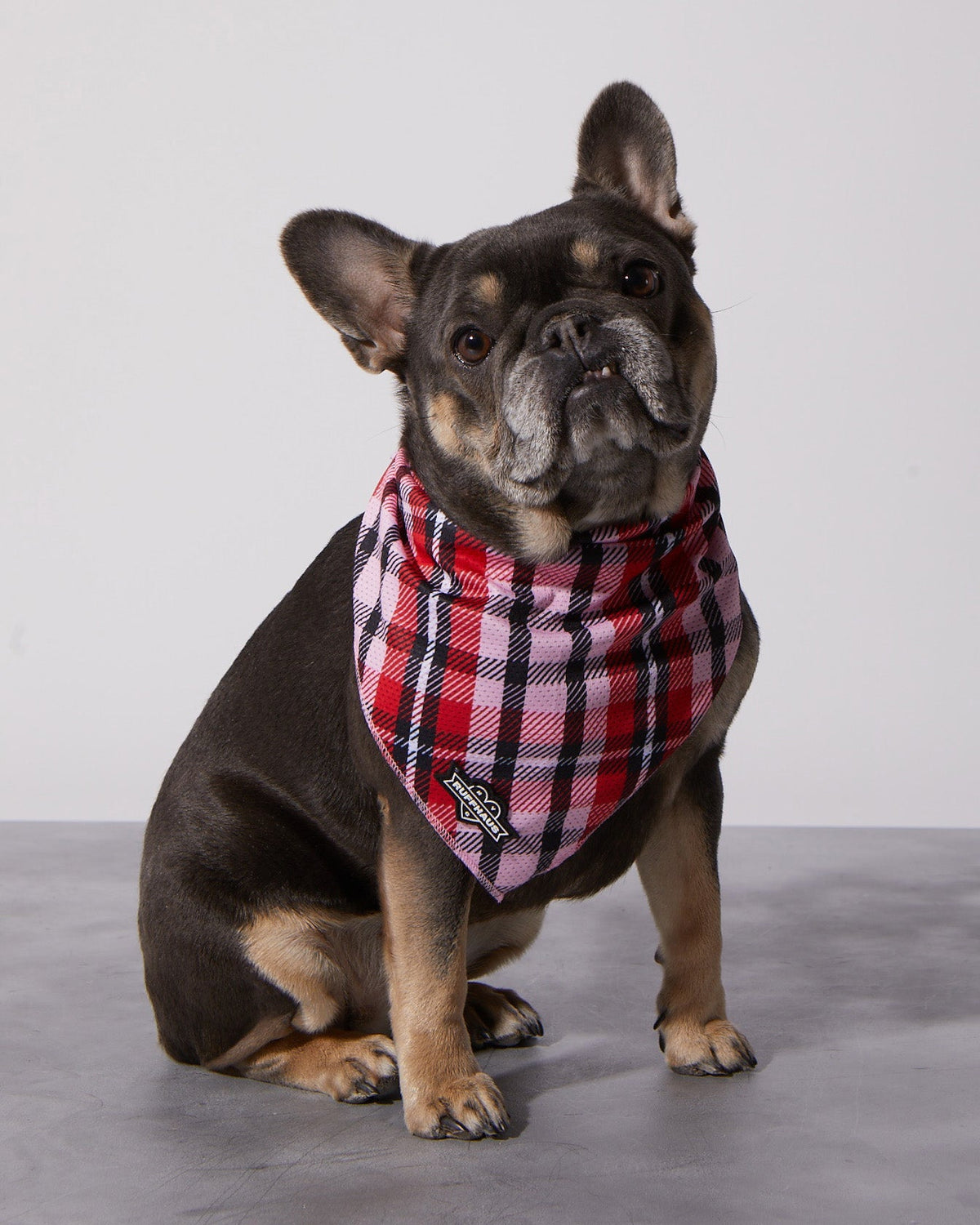 Puppy Love Plaid Bandana