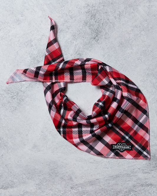 Puppy Love Plaid Bandana
