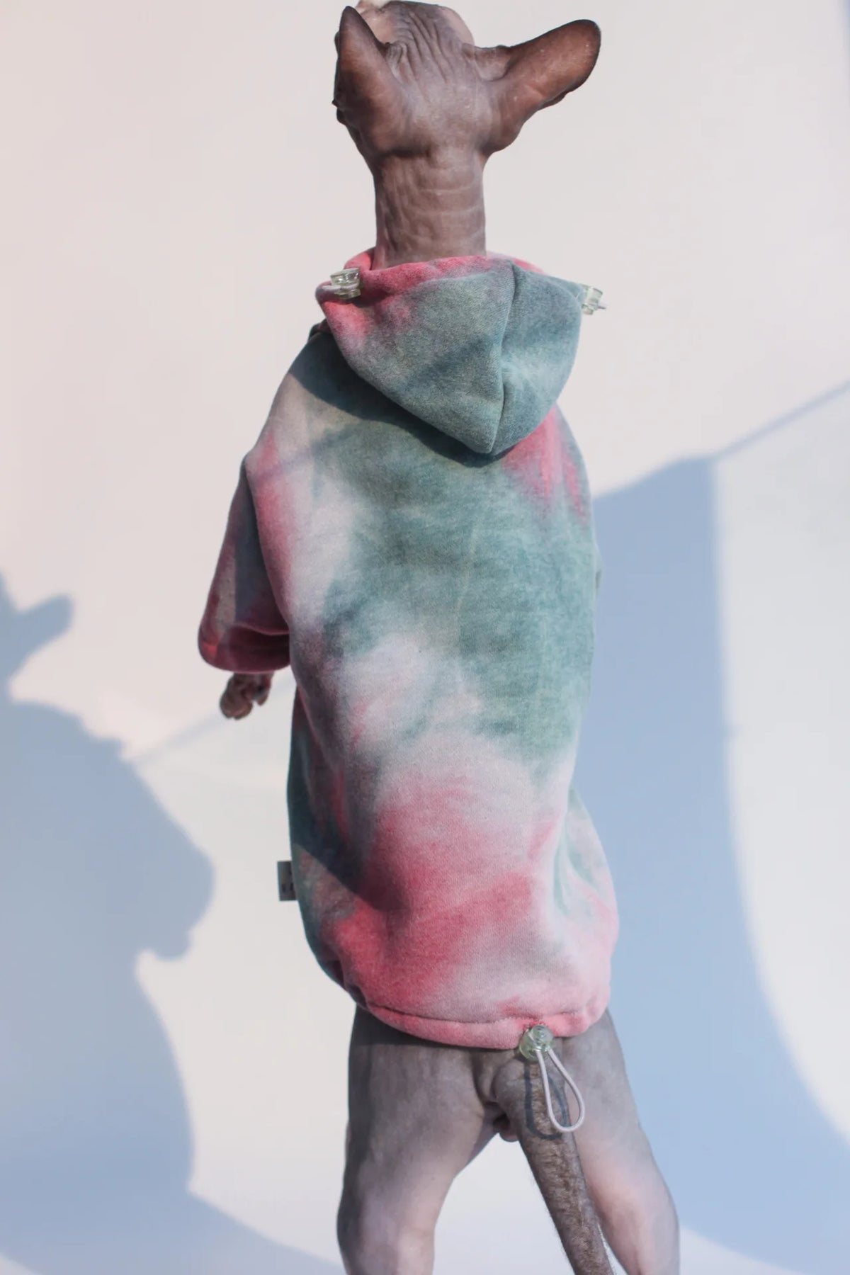 Fleece-Lined Cat Hoodie