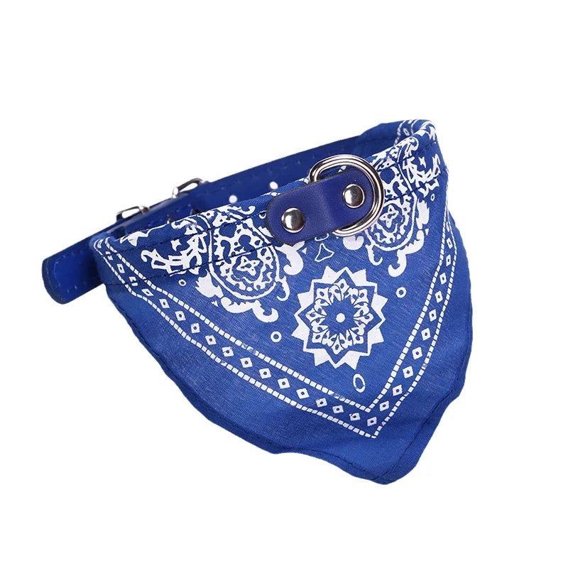 Tailvani Scarf Collar