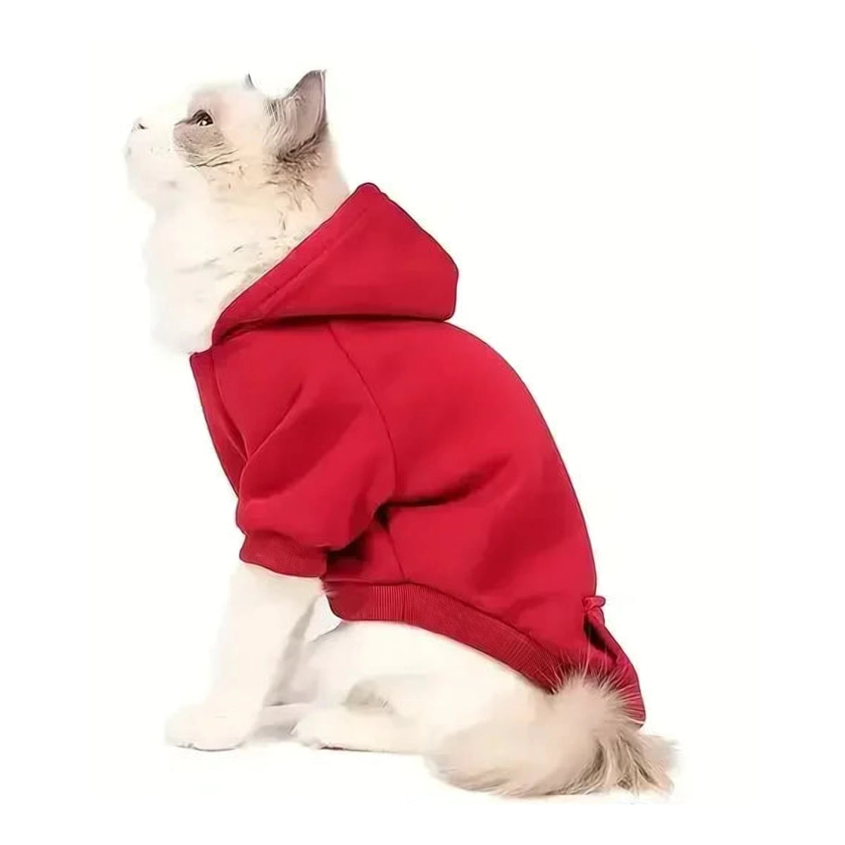 Cat wearing the red Classic Fleece Hoodie