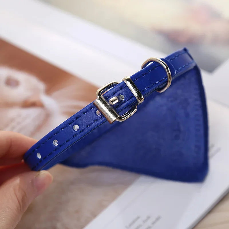 Tailvani Scarf Collar