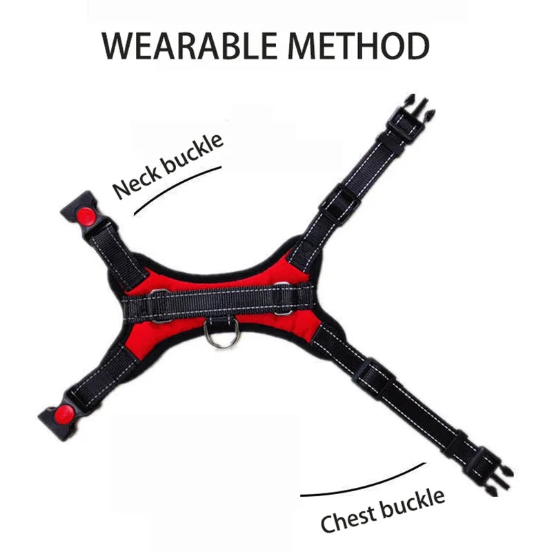 Tailvani Everyday Air Harness