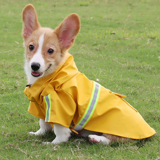 Hooded Rain Cloak