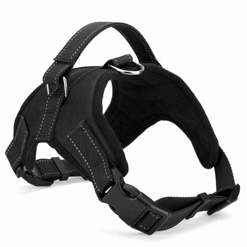 Tailvani Everyday Air Harness