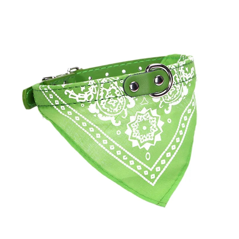 Tailvani Scarf Collar