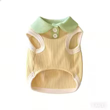 Tailvani Summer Pup Shirt