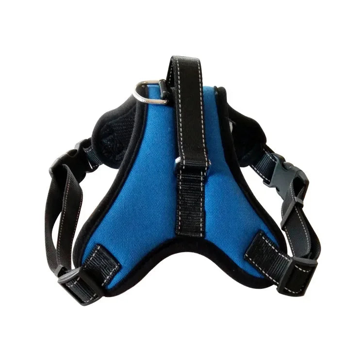 Tailvani Everyday Air Harness