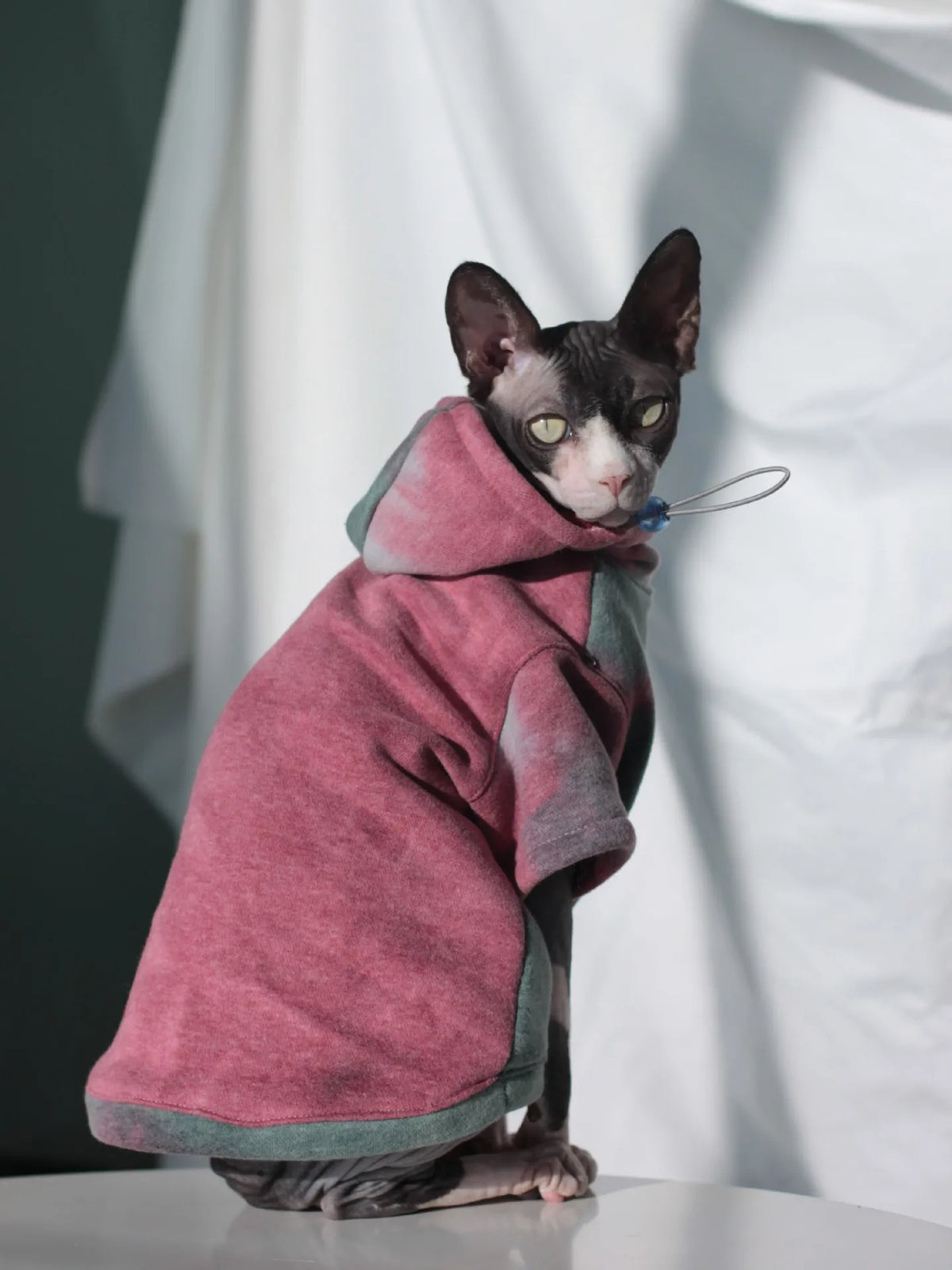 Fleece-Lined Cat Hoodie