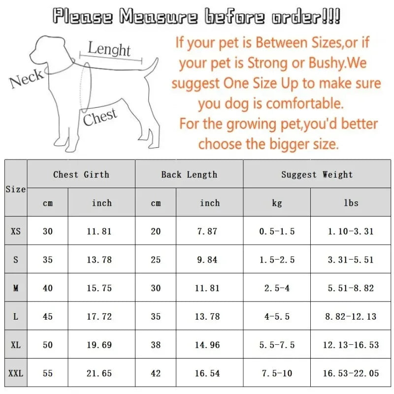 Tailvani Summer Pup Shirt