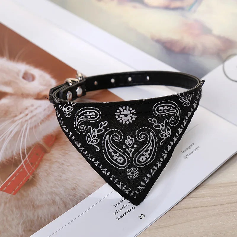 Tailvani Scarf Collar