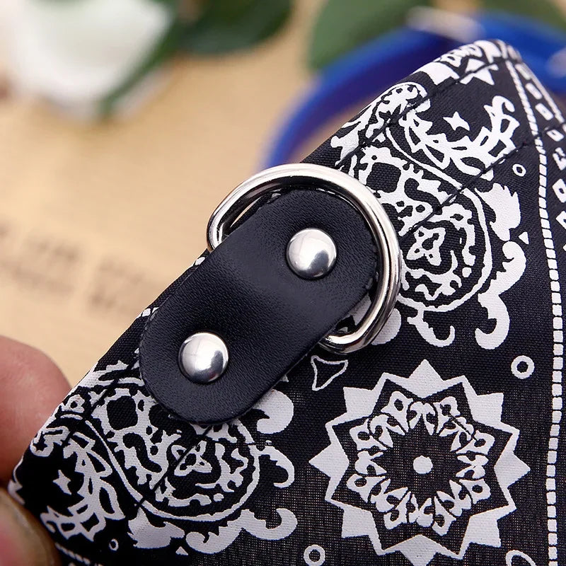 Tailvani Scarf Collar