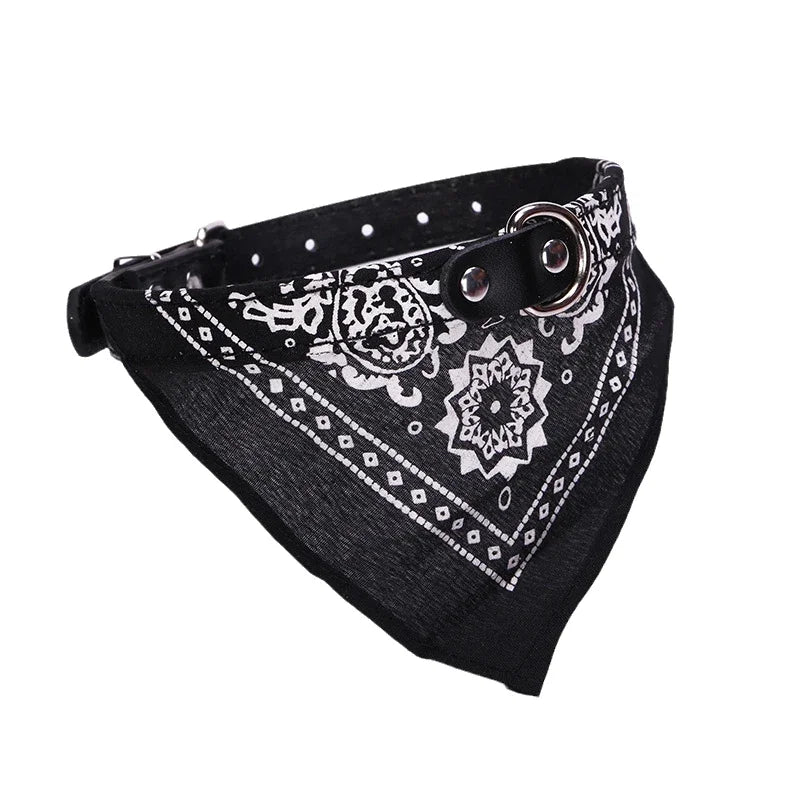 Tailvani Scarf Collar