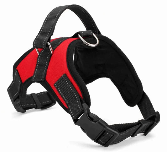 Tailvani Everyday Air Harness