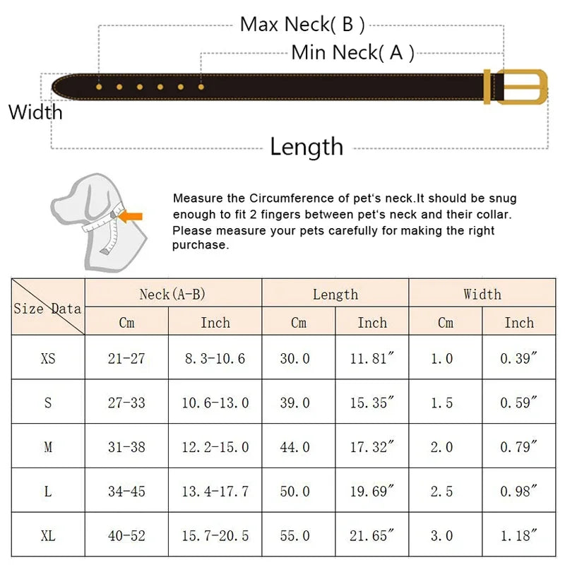 Tailvani Scarf Collar