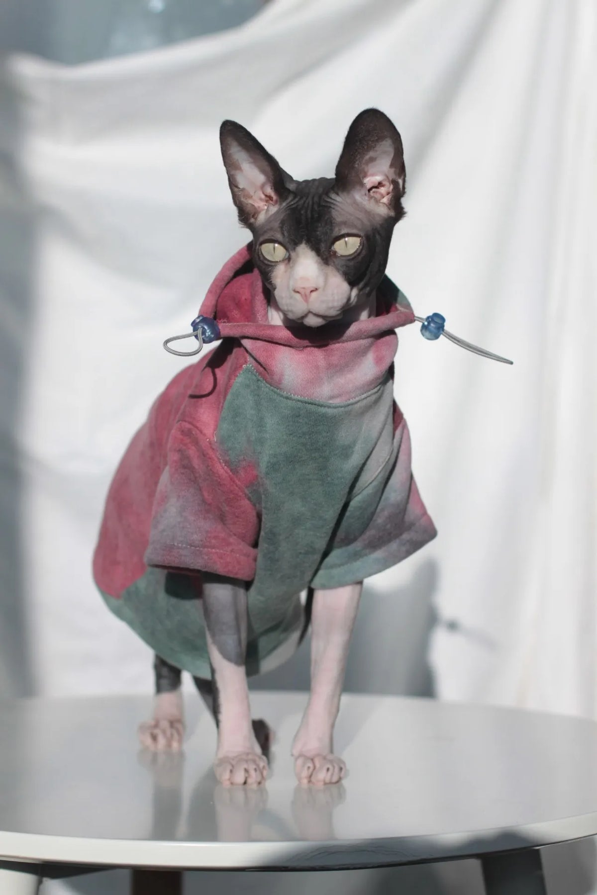Fleece-Lined Cat Hoodie