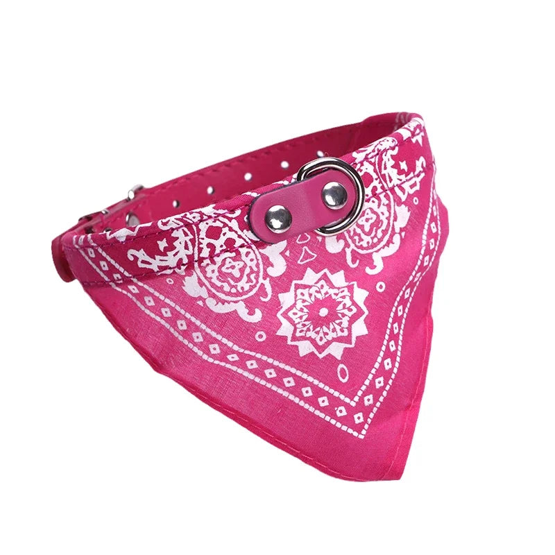 Tailvani Scarf Collar