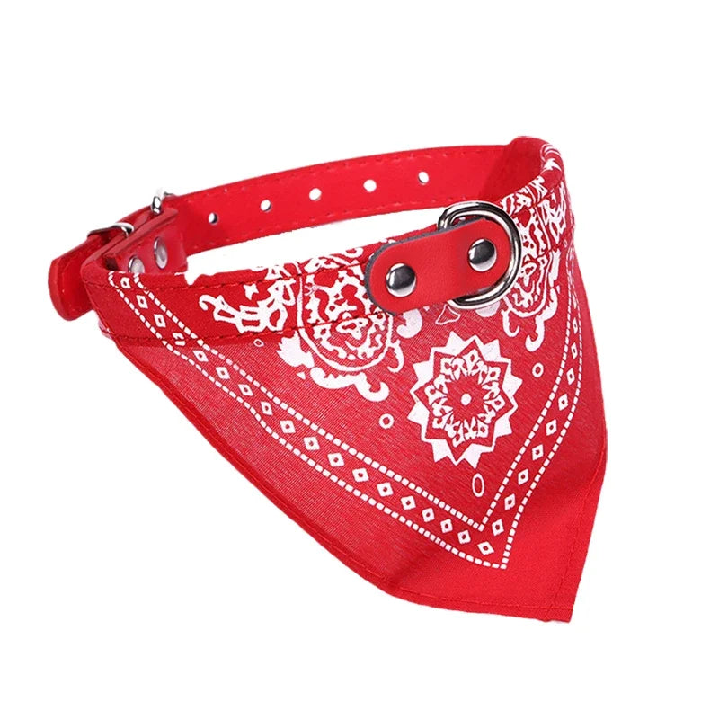 Tailvani Scarf Collar