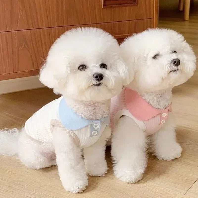 Tailvani Summer Pup Shirt