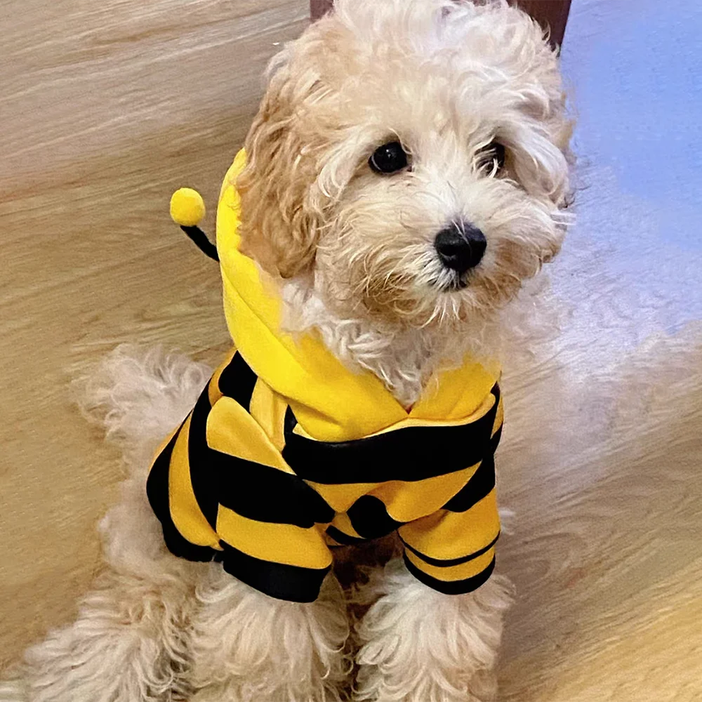 Honeybee Cozy Pet Hoodie