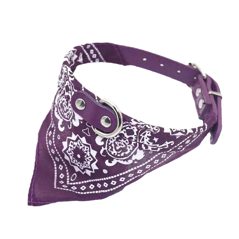 Tailvani Scarf Collar