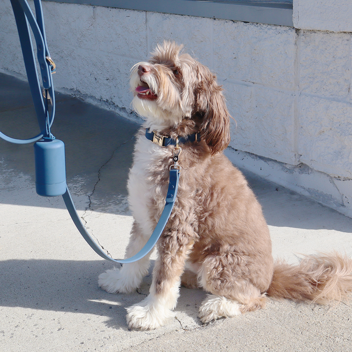 Waterproof Collar — Navy