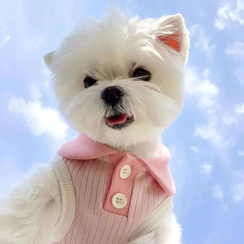 Tailvani dog lifestyle